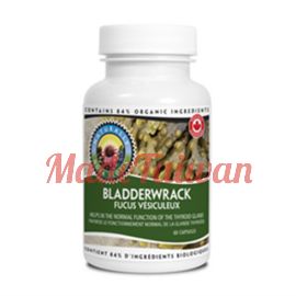 Nova Scotia Organics Bladderwrack 60 Capsules 