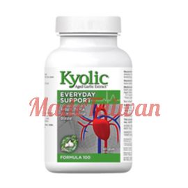 Kyolic Aged Garlic Everyday Support Formula 100 360capsules